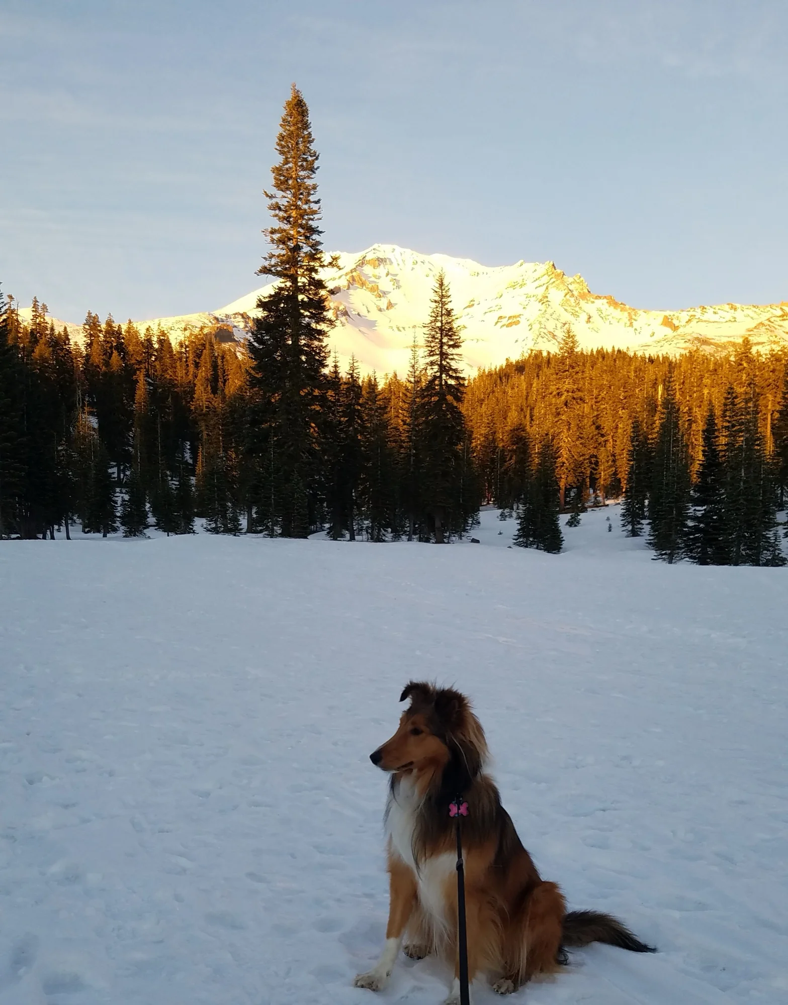 Ellie sitting on a frozen lake below a mountain peak lit by coat